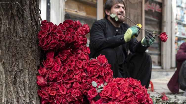 Kabul florists heartbroken over Taliban Valentine's Day ban