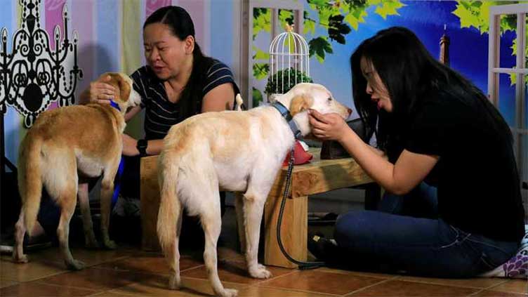 In the Philippines, animal lovers book Valentine's dates with shelter dogs