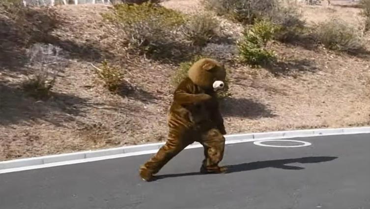 Japanese zoo worker in bear suit leads keepers on chase in escape drill