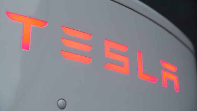 Lithium miner Sigma jumps on report Tesla considering buyout