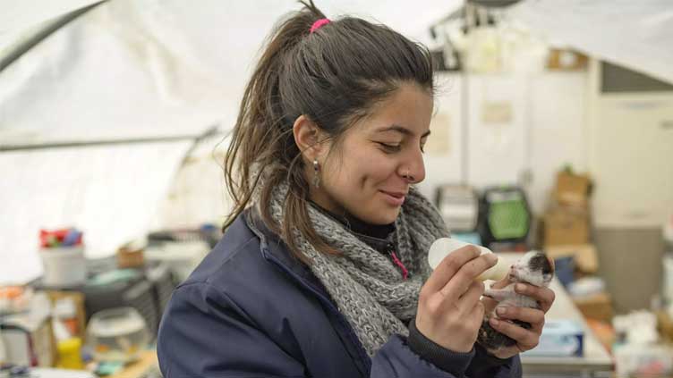 Rush to save trapped animals in Turkish city after tremor
