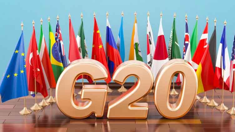 Commodity market concentration poses threat to wider economy: G20 watchdog 