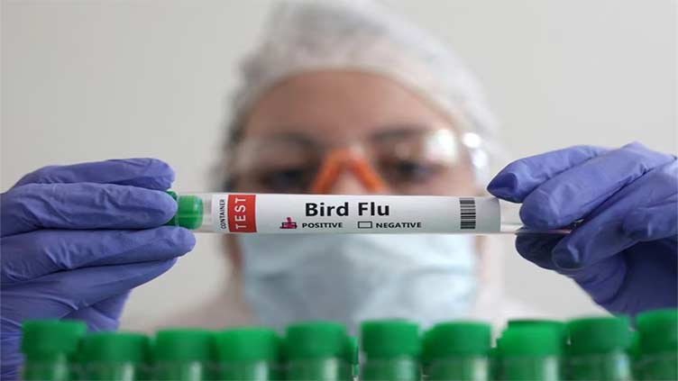 Flu experts gather with H5N1 risk on the agenda