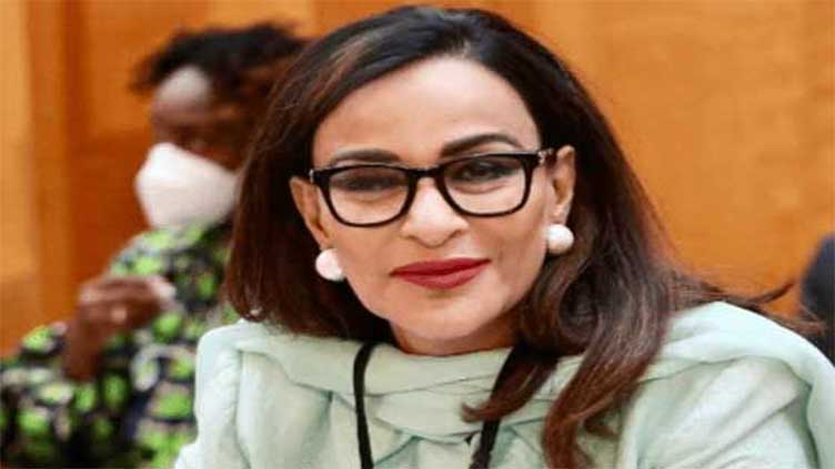 Imran's jail-cramming drive only limited to social media, says Sherry Rehman