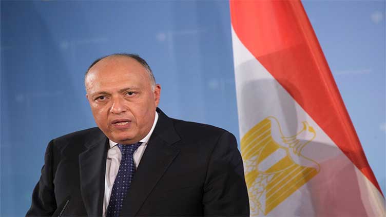 Egypt's foreign minister to visit Syria, Turkey on Monday -statement