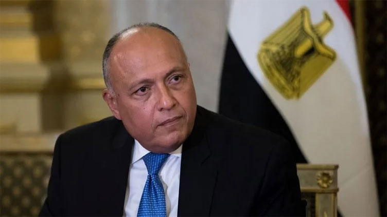 Egypt's foreign minister to visit Syria, Turkey on Monday