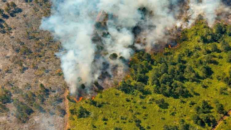 Massive forest fires rage on in eastern Cuba
