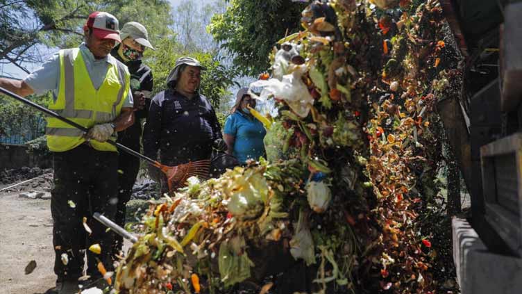 Waste not want not: Santiago's poorest district plants recycling seed