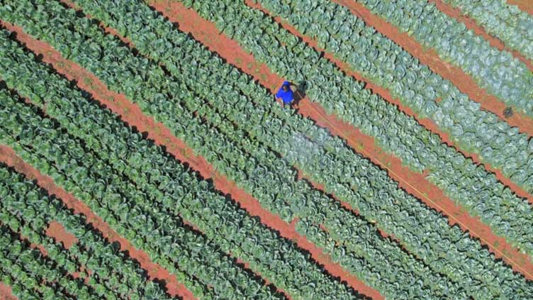  Reducing nitrogen use key to human and planetary health: study