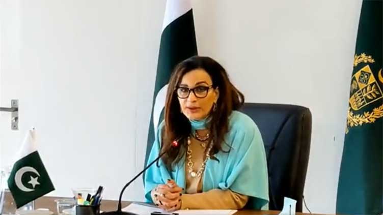 INGOs collaboration imperative for building climate resilient Pakistan: Sherry Rehman