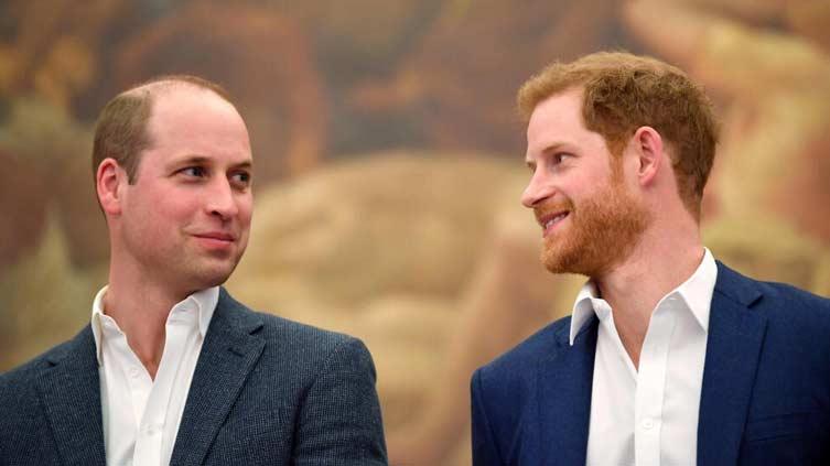 Prince Harry accuses his brother William of physical attack in new book