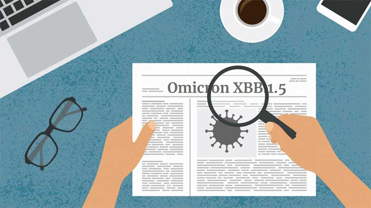  What do we know about the XBB.1.5 Omicron subvariant?
