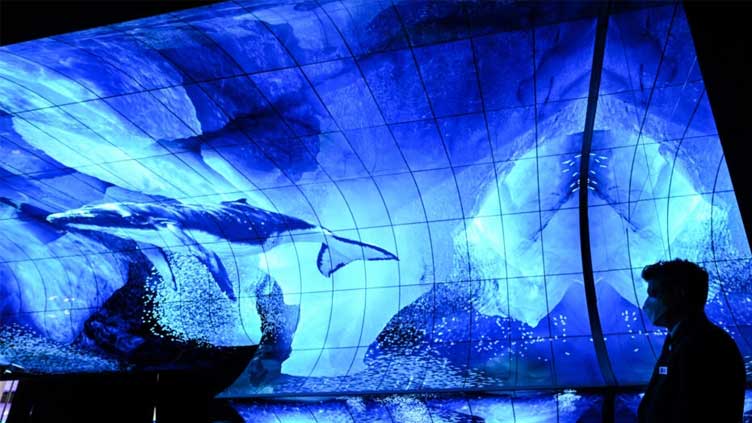  2023 CES tech show showcases wireless TV, delivery robots and in-car VR