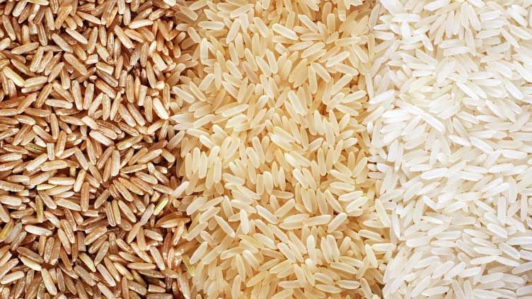 Pakistan's rice exports fall 30pc in 5MFY23