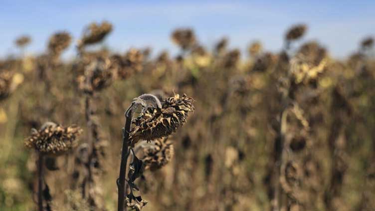 France suffered hottest year and record rain shortfall in 2022