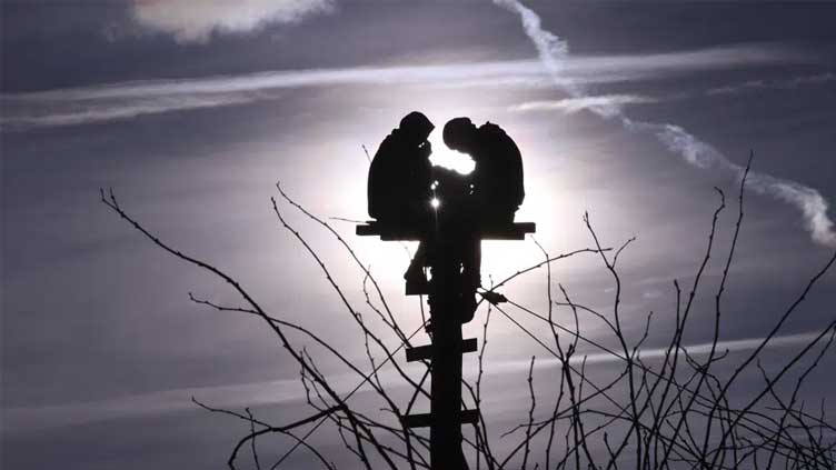  Climate activists dig in to defend village from coalmine