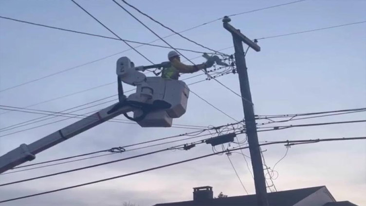 Bucket truck used to reach seagull entangled in utility wires