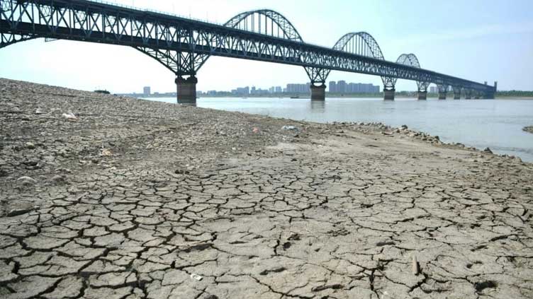  Last eight years warmest on record globally: EU climate monitor