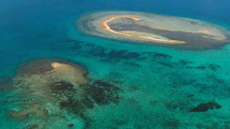 Scientists sound alarm as ocean temperatures hit new record