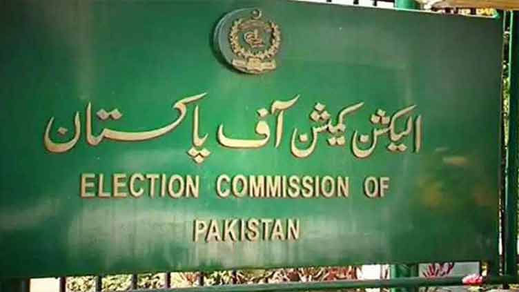 ECP takes notice of PPP, PTI clash, 'irregularities' in Sindh LG polls result