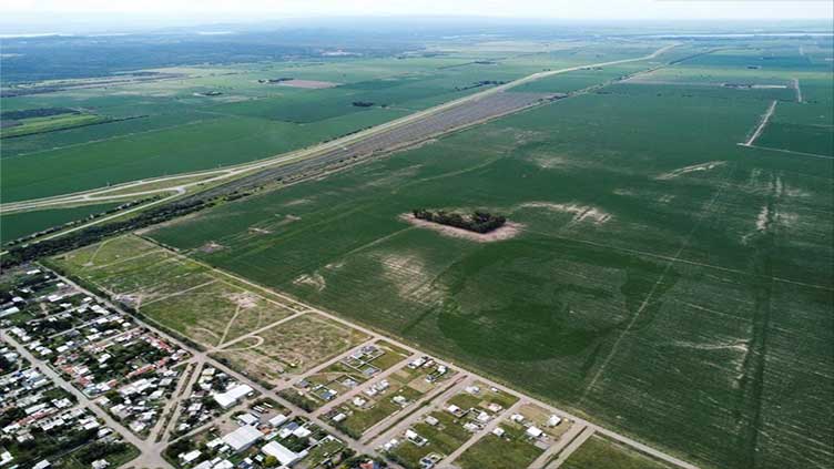 Argentine corn field planted with face of World Cup winner Messi