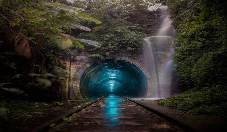 Helensburgh Glow Worm tunnel – An ethereal tourist attraction