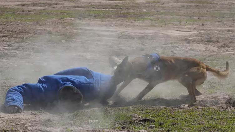 Ukrainians wrap up landmine clearance exercises in Cambodia