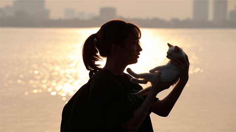 Year of the Rabbit? Not so fast! Vietnam's Lunar New Year to celebrate the cat