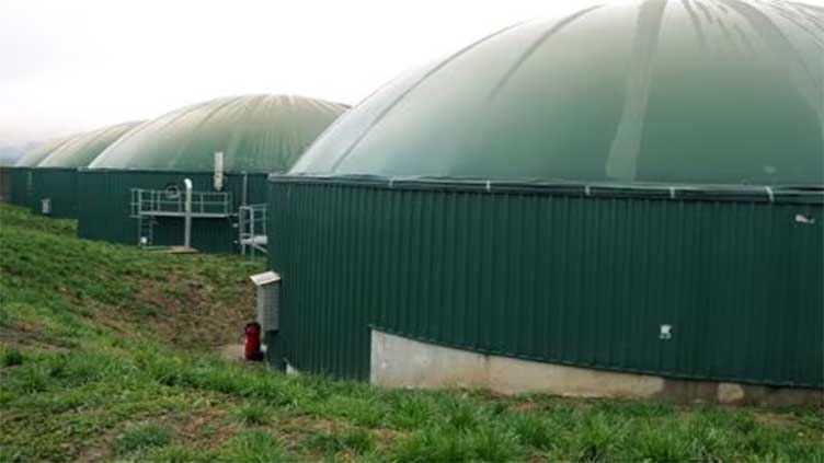 Bosnian dairy farm makes electricity from organic waste