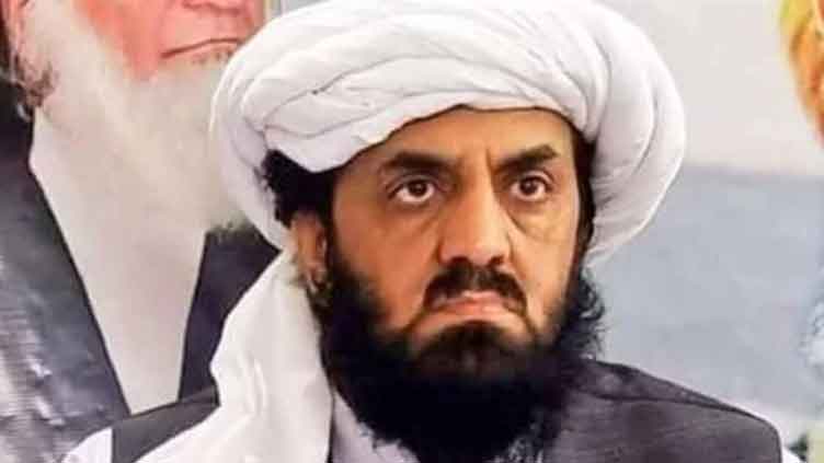 Karachi's masses reject Imran's narrative in LG polls: Hafiz Hamdullah