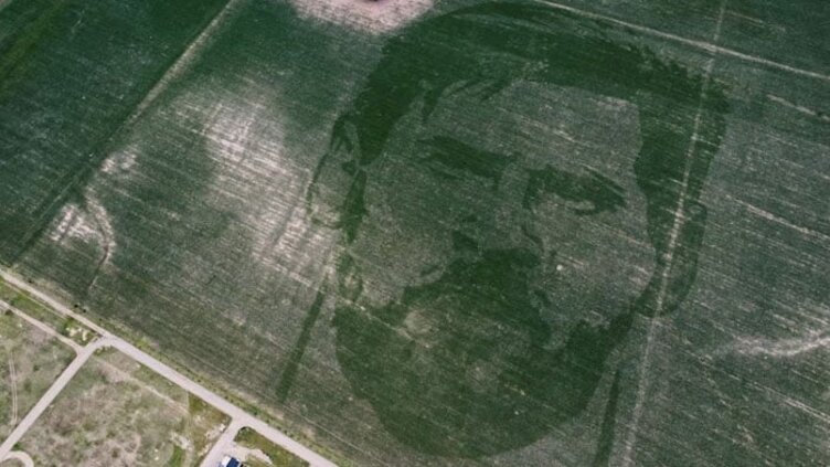 World Cup victory tribute: Farmer crafts Messi's image in maize harvest