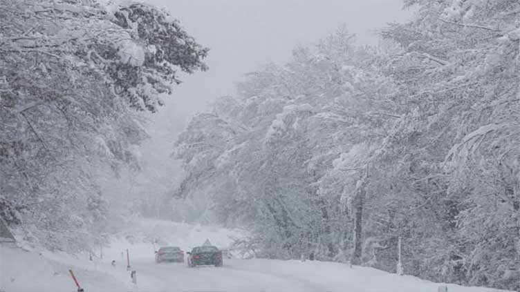 Snow, winds cause traffic chaos, power cuts in Slovenia