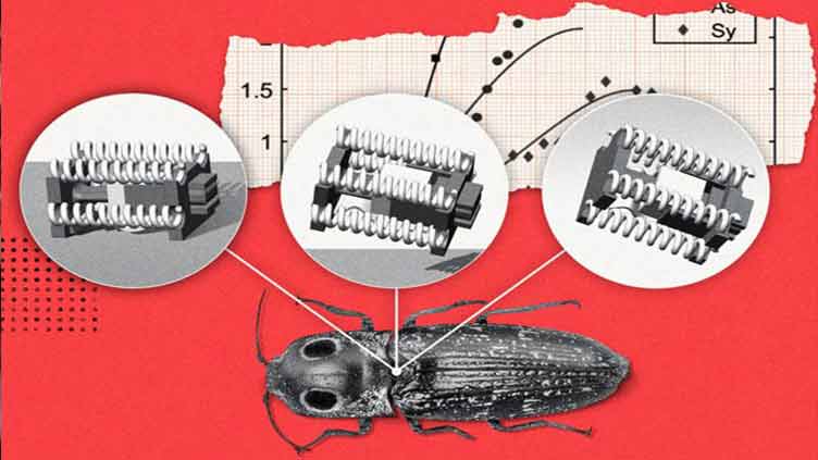 Robot whirlwind set to aid in agriculture