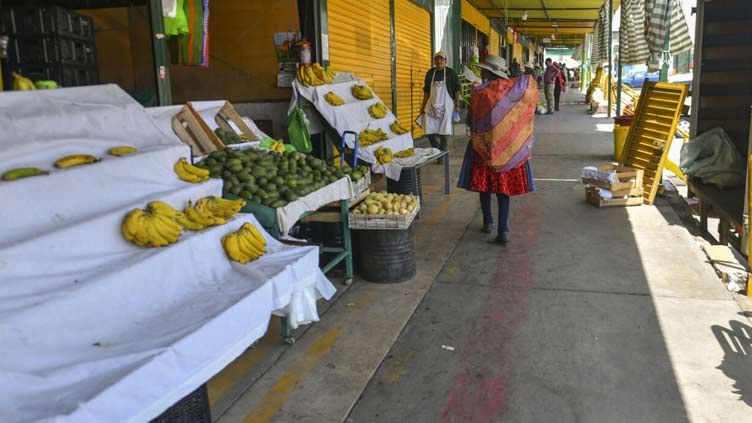 Peru faces food, fuel shortages as Boluarte defiant