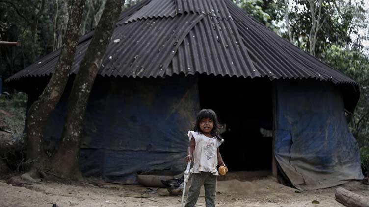 Indigenous land rights help protect Brazil's forests