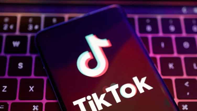 US House panel to vote next month on possible TikTok ban