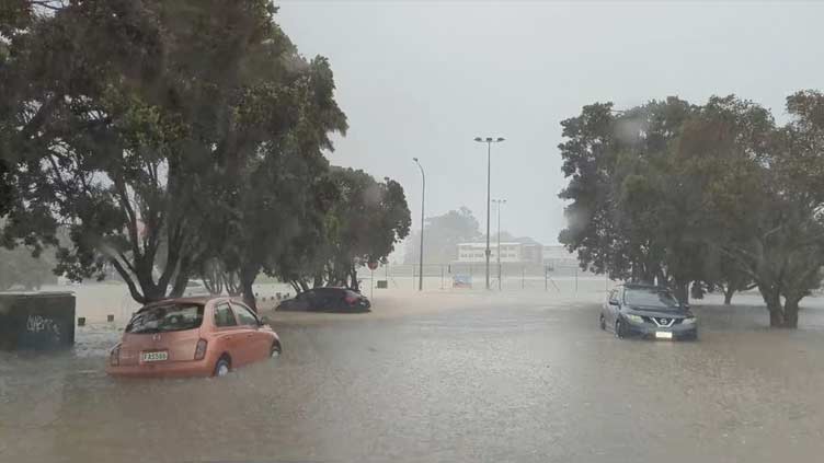 New Zealand's Auckland starts clean-up after deadly flash floods