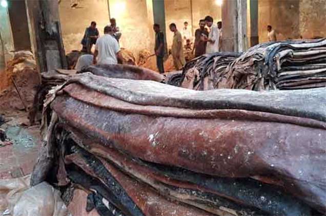 Eidul Azha gives boost to leather industry 