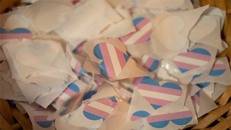 US judges halt healthcare bans for transgender youth
