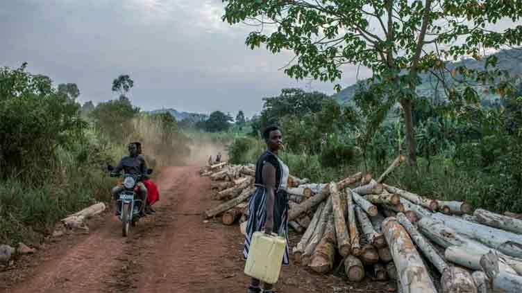 Uganda pipeline has 'devastated' livelihoods, Human Rights Watch says