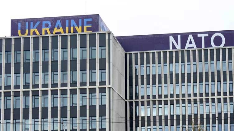 Ukraine's NATO membership path: Allies wrangle, Kyiv sees progress