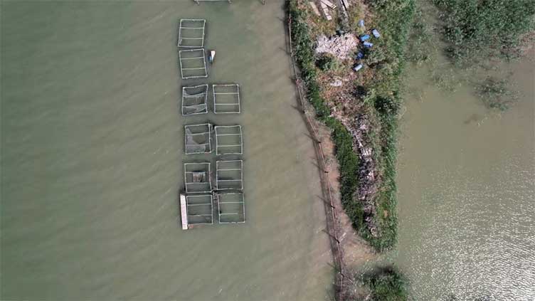 Iraq's water crisis drying up fish farming in Basra