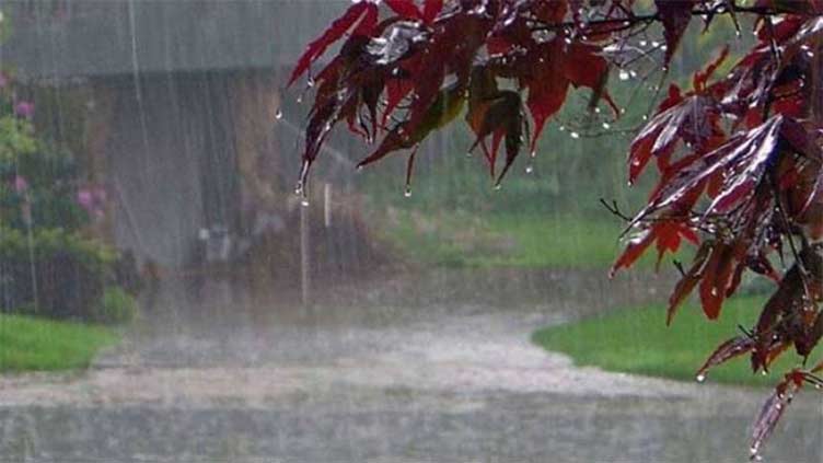 Rain, thunderstorm forecast in most parts of country