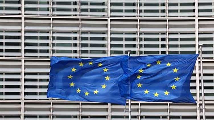 EU Commission sticks to US economist pick for senior antitrust job