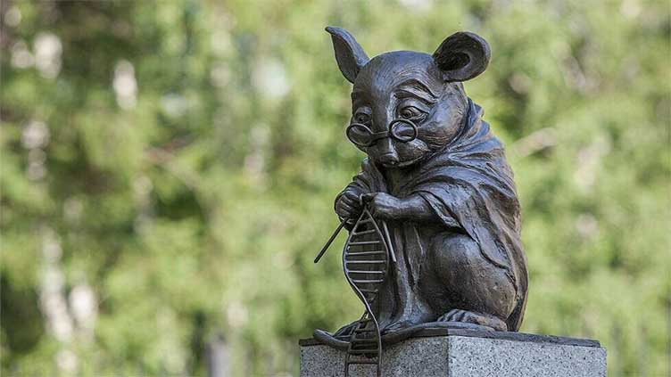 Russian statue honours 'sacrifice' of laboratory rats