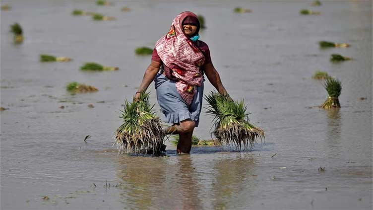 Why Indian farmers worry despite 'average' monsoon rains