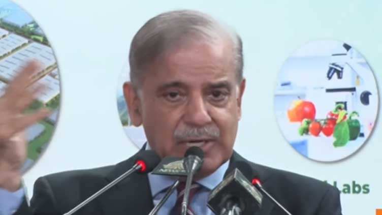 Next govt should focus on 'Economic Revival Plan', says PM Shehbaz