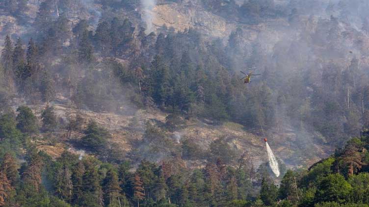 Switzerland fights to contain forest fire near Italy border as winds pick up