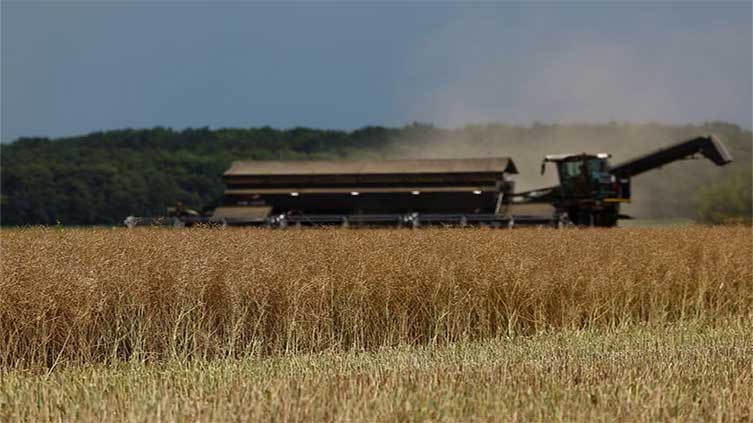 Ukraine's farmers fear the worst after grain deal collapses