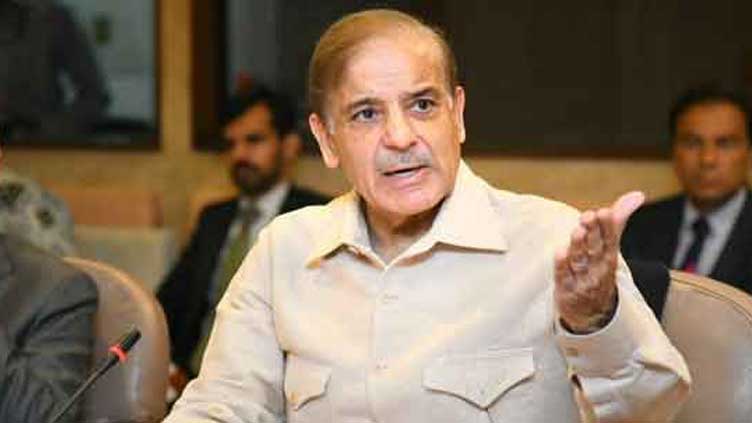 PM Shehbaz constitutes five-member committee on caretaker setup